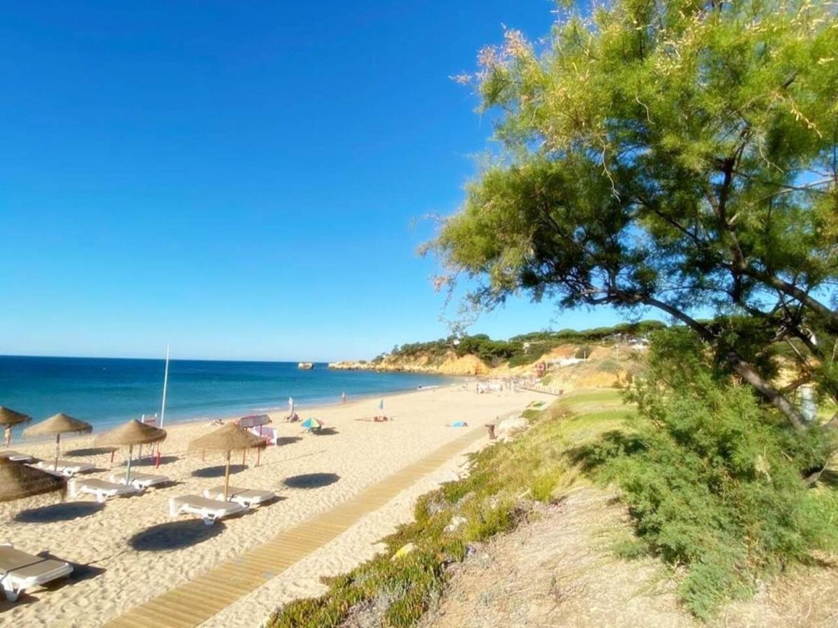 Coral By Albufeira Rental Dış mekan fotoğraf
