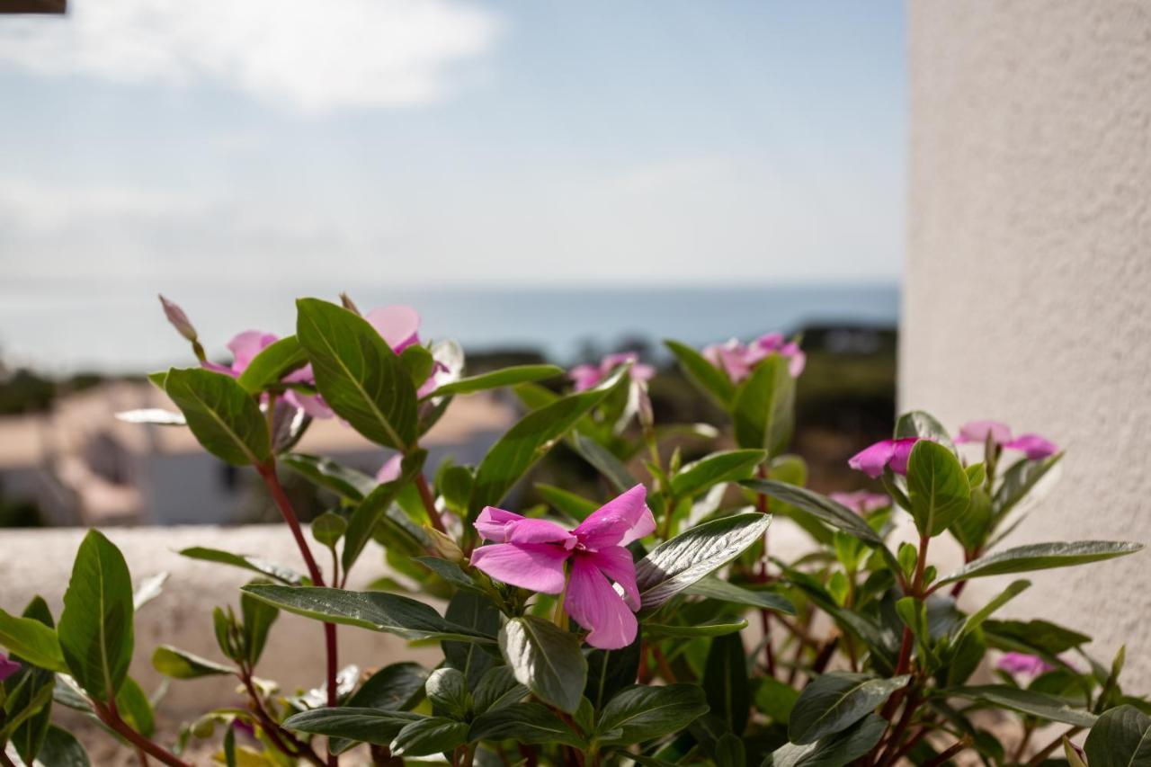 Coral By Albufeira Rental Dış mekan fotoğraf